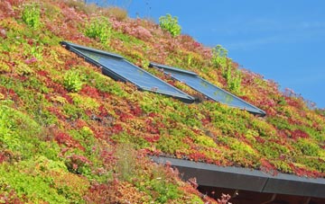 Martlesham living roof systems