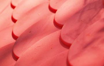 Martlesham plastic roof costs